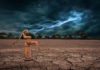 Water supply – converting a potential crisis into opportunity