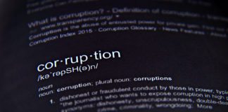 Corruption and state capture research findings