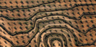BOOK REVIEW | Origins – How the earth made us