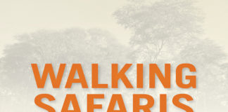BOOK REVIEW | Walking Safaris in South Africa