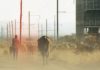 BOOK REVIEW | Land, Law and Chiefs in Rural South Africa