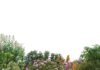 National Biodiversity Offset Guideline finally published