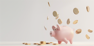 What type of loan is easier to get in South Africa? A quick guide