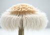 Does Lion’s Mane Release Dopamine? Does Lion's Mane release dopamine?