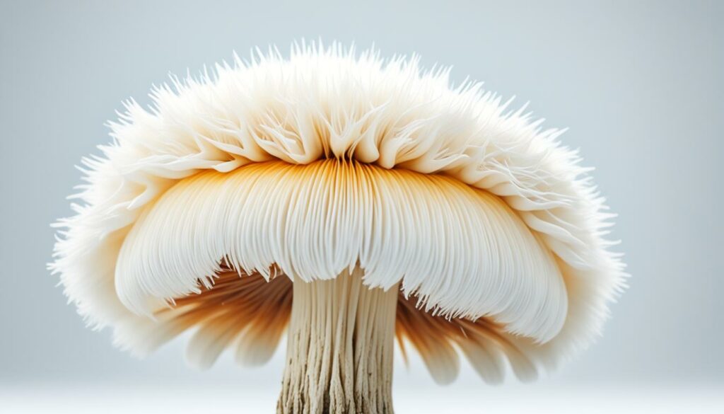 What is lion's mane side effects?