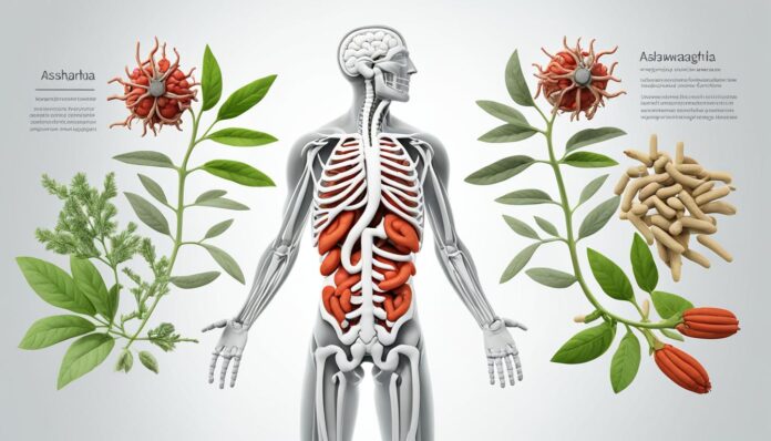 can-you-take-ashwagandha-on-an-empty-stomach can you take ashwagandha on an empty stomach
