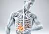what are the side effects of ashwagandha