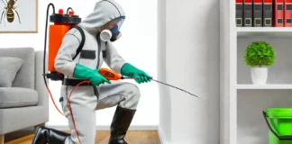 How to Get Rid of Termites in Florida – Expert Guide