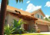 are termites a problem in florida
