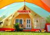 how much does termite tenting cost