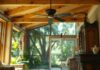 How To Get Rid Of Termites in Florida – Expert Tips how to get rid of termites in florida