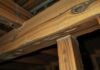 Is Termite Damage Covered by Insurance in Florida is termite damage covered by insurance in florida