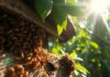 Termites in Florida – Your Complete Pest Control Guide termites in florida