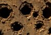 what do termite holes look like