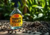 What Kills Termites On Contact? Instant Termite Killers what kills termites on contact