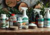 What Repels Termites? Discover What Works Best what repels termites
