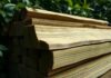 will termites eat pressure treated wood