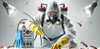Is Termite Protection Worth It in Florida – Expert Guide