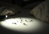 How to Check for Bed Bugs with a Flashlight how to check for bed bugs with a flashlight
