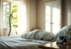 How to Tell When Bed Bugs Are Gone | Complete Guide how to tell when bed bugs are gone