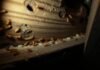 Termites in the House: Warning Signs And Next Steps termites in the house