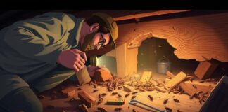 what is a termite inspection