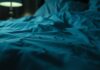 why do bed bugs come out at night
