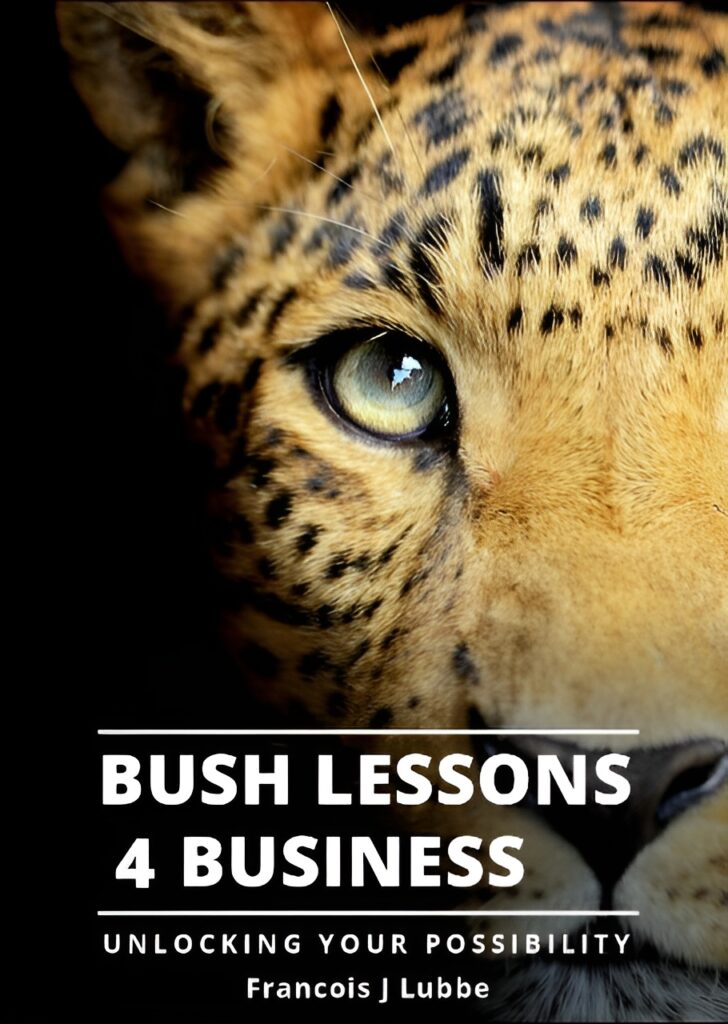 Bush Lessons 4 Business