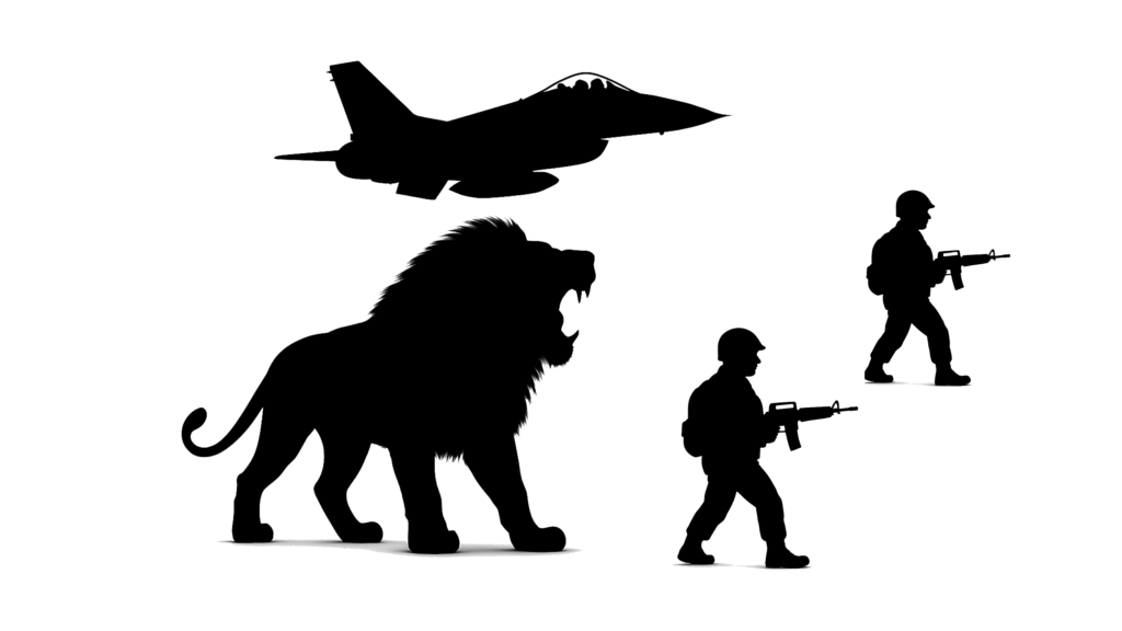 Operation Rising Lion