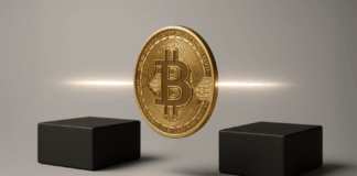 Crypto wealth transfer