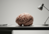 What is a neuro-inclusive workplace? Employment guide