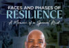 Faces and Phases of Resilience