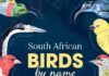South African Birds by name – Origins and Meanings South African Birds by name