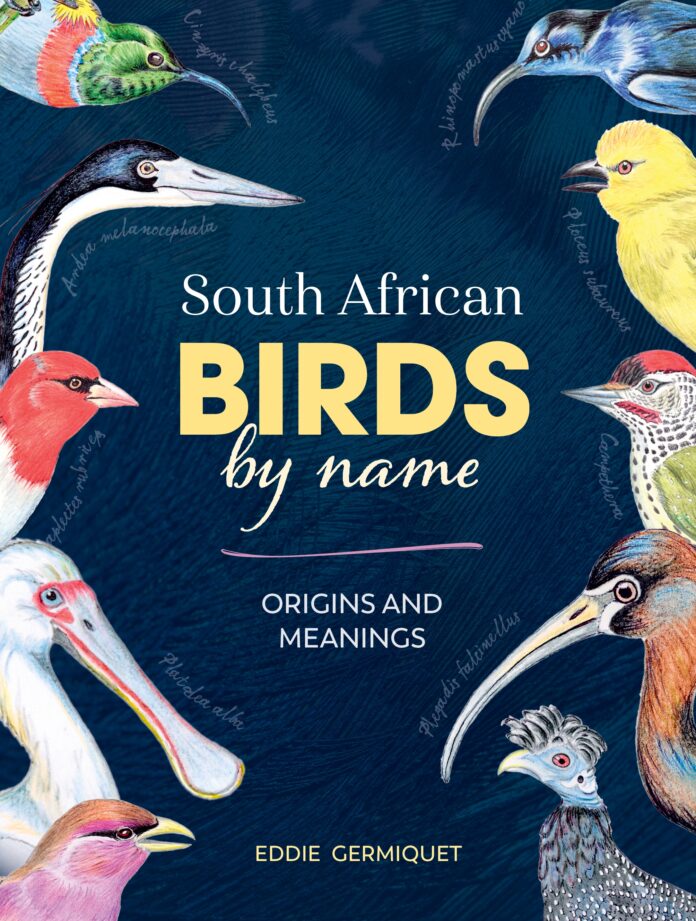 South African Birds by name