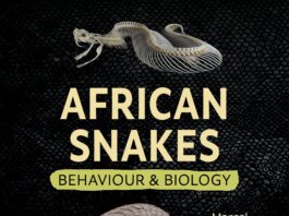 African Snakes – Behaviour and Biology African Snakes