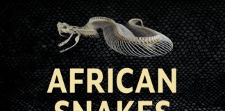 African Snakes