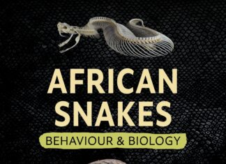 African Snakes – Behaviour and Biology African Snakes