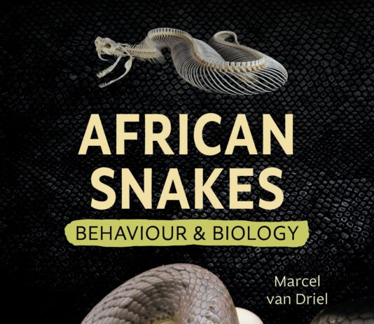 African Snakes – Behaviour and Biology African Snakes