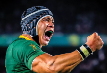 Cheslin Kolbe