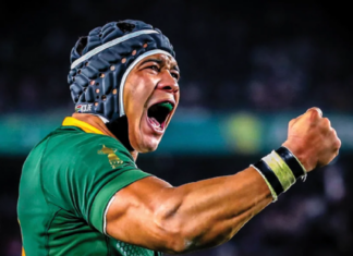 Cheslin Kolbe