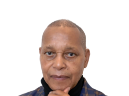 SARS’s digital border bureaucracy – progress or pointless compliance? Temba A Nolutshungu