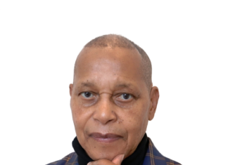 SARS’s digital border bureaucracy – progress or pointless compliance? Temba A Nolutshungu