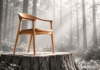 Timber beneficiation